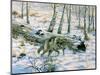 Snow Wolf-Bill Makinson-Mounted Premium Giclee Print