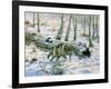 Snow Wolf-Bill Makinson-Framed Giclee Print