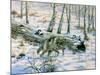 Snow Wolf-Bill Makinson-Mounted Giclee Print