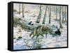 Snow Wolf-Bill Makinson-Framed Stretched Canvas