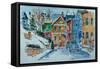 Snow, Wright St., Stapleton-Anthony Butera-Framed Stretched Canvas