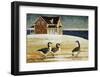 Snow-Joanne Ouellet-Framed Art Print