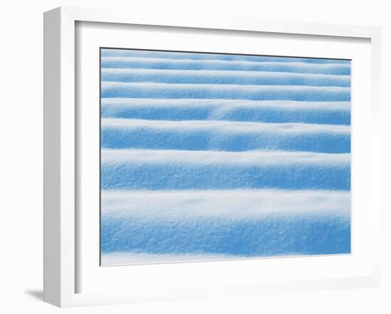 Snow-WizData-Framed Photographic Print