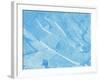 Snow-WizData-Framed Photographic Print