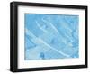 Snow-WizData-Framed Photographic Print