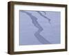 Snow-WizData-Framed Photographic Print