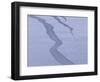 Snow-WizData-Framed Photographic Print