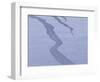 Snow-WizData-Framed Photographic Print