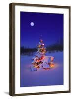 Snow-null-Framed Photographic Print