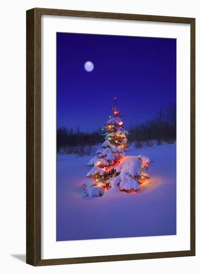 Snow-null-Framed Photographic Print