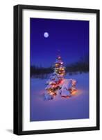 Snow-null-Framed Photographic Print