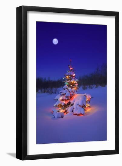 Snow-null-Framed Photographic Print