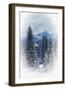 Snow-null-Framed Photographic Print