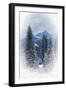 Snow-null-Framed Photographic Print