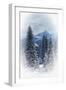 Snow-null-Framed Photographic Print