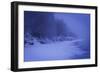 Snow-null-Framed Photographic Print