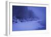 Snow-null-Framed Photographic Print