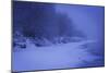 Snow-null-Mounted Photographic Print