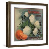 Snowball Brand - Ruddock, California - Citrus Crate Label-Lantern Press-Framed Art Print