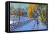 Snowballing, Allestree Park, Derby, 2014-Andrew Macara-Framed Stretched Canvas