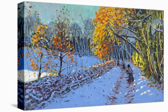 Snowballing, Allestree Park, Derby, 2014-Andrew Macara-Stretched Canvas