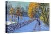 Snowballing, Allestree Park, Derby, 2014-Andrew Macara-Stretched Canvas