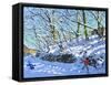 Snowballing,Upper Hulme,Staffordshireoil on canvas-Andrew Macara-Framed Stretched Canvas