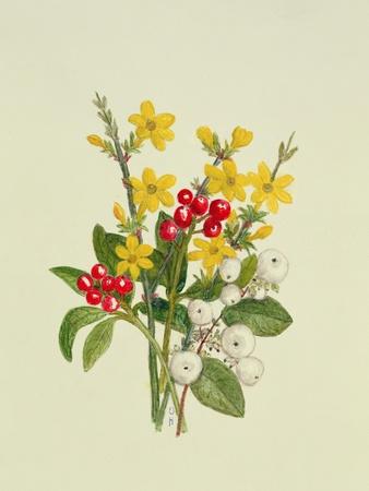 https://imgc.allpostersimages.com/img/posters/snowberries-dogwood-and-jasmine_u-L-Q1E3Y7O0.jpg?artPerspective=n