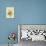 Snowberries, Dogwood and Jasmine-Ursula Hodgson-Giclee Print displayed on a wall