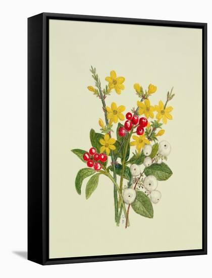 Snowberries, Dogwood and Jasmine-Ursula Hodgson-Framed Stretched Canvas