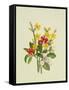 Snowberries, Dogwood and Jasmine-Ursula Hodgson-Framed Stretched Canvas