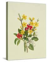 Snowberries, Dogwood and Jasmine-Ursula Hodgson-Stretched Canvas