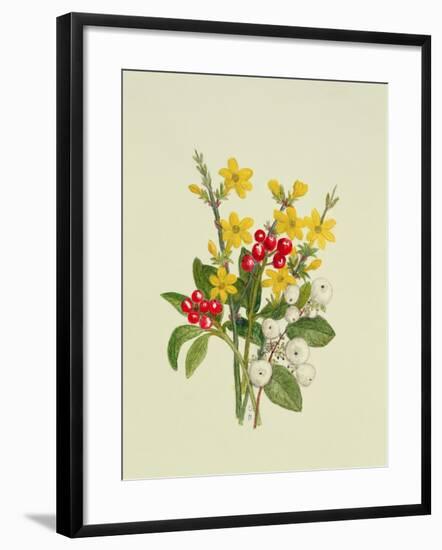 Snowberries, Dogwood and Jasmine-Ursula Hodgson-Framed Giclee Print