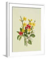 Snowberries, Dogwood and Jasmine-Ursula Hodgson-Framed Giclee Print