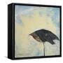 Snowbird-Tim Nyberg-Framed Stretched Canvas