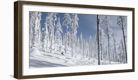 Snowboarder Carving in the Whitefish Range, Stryker Ridge, Montana-Steven Gnam-Framed Photographic Print
