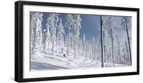 Snowboarder Carving in the Whitefish Range, Stryker Ridge, Montana-Steven Gnam-Framed Photographic Print