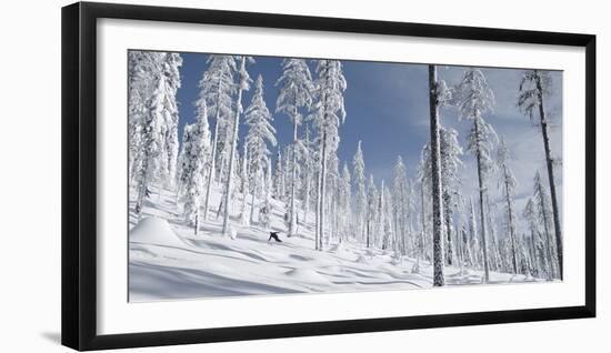 Snowboarder Carving in the Whitefish Range, Stryker Ridge, Montana-Steven Gnam-Framed Photographic Print