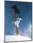 Snowboarder Mid-Air During Jump-null-Mounted Photographic Print