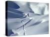 Snowboarder Riding in Powder Snow, Austria, Europe-Ted Levine-Stretched Canvas