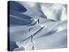 Snowboarder Riding in Powder Snow, Austria, Europe-Ted Levine-Stretched Canvas