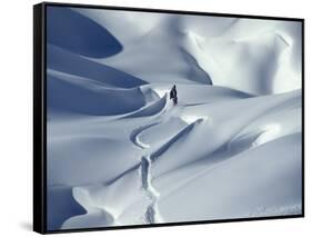 Snowboarder Riding in Powder Snow, Austria, Europe-Ted Levine-Framed Stretched Canvas