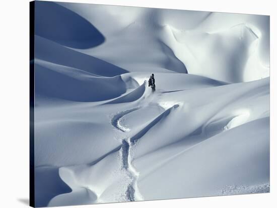 Snowboarder Riding in Powder Snow, Austria, Europe-Ted Levine-Stretched Canvas