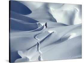 Snowboarder Riding in Powder Snow, Austria, Europe-Ted Levine-Stretched Canvas