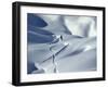 Snowboarder Riding in Powder Snow, Austria, Europe-Ted Levine-Framed Premium Photographic Print