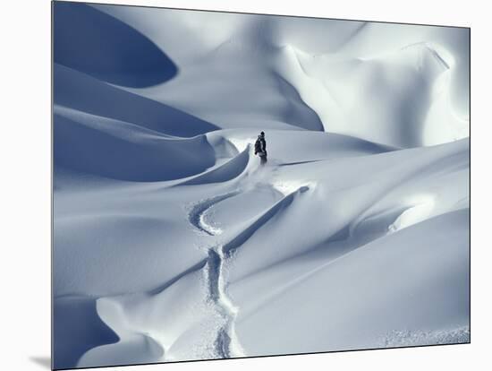 Snowboarder Riding in Powder Snow, Austria, Europe-Ted Levine-Mounted Photographic Print