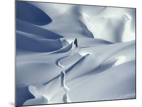 Snowboarder Riding in Powder Snow, Austria, Europe-Ted Levine-Mounted Photographic Print