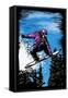 Snowboarder - Scratchboard-Lantern Press-Framed Stretched Canvas