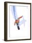 Snowboarder Stylized-Lantern Press-Framed Art Print