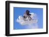 Snowboarder-PicMy-Framed Photographic Print